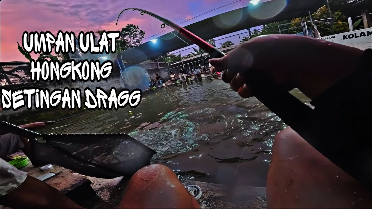 Mancing Bawal Media Umpan Ulat Hongkong Dengan Setingan DRAGGG Alias Dalam