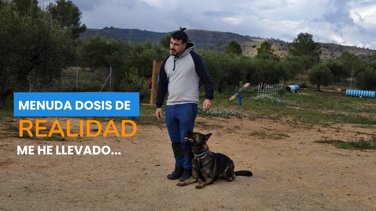 Menuda Dosis de REALIDAD me he llevado...