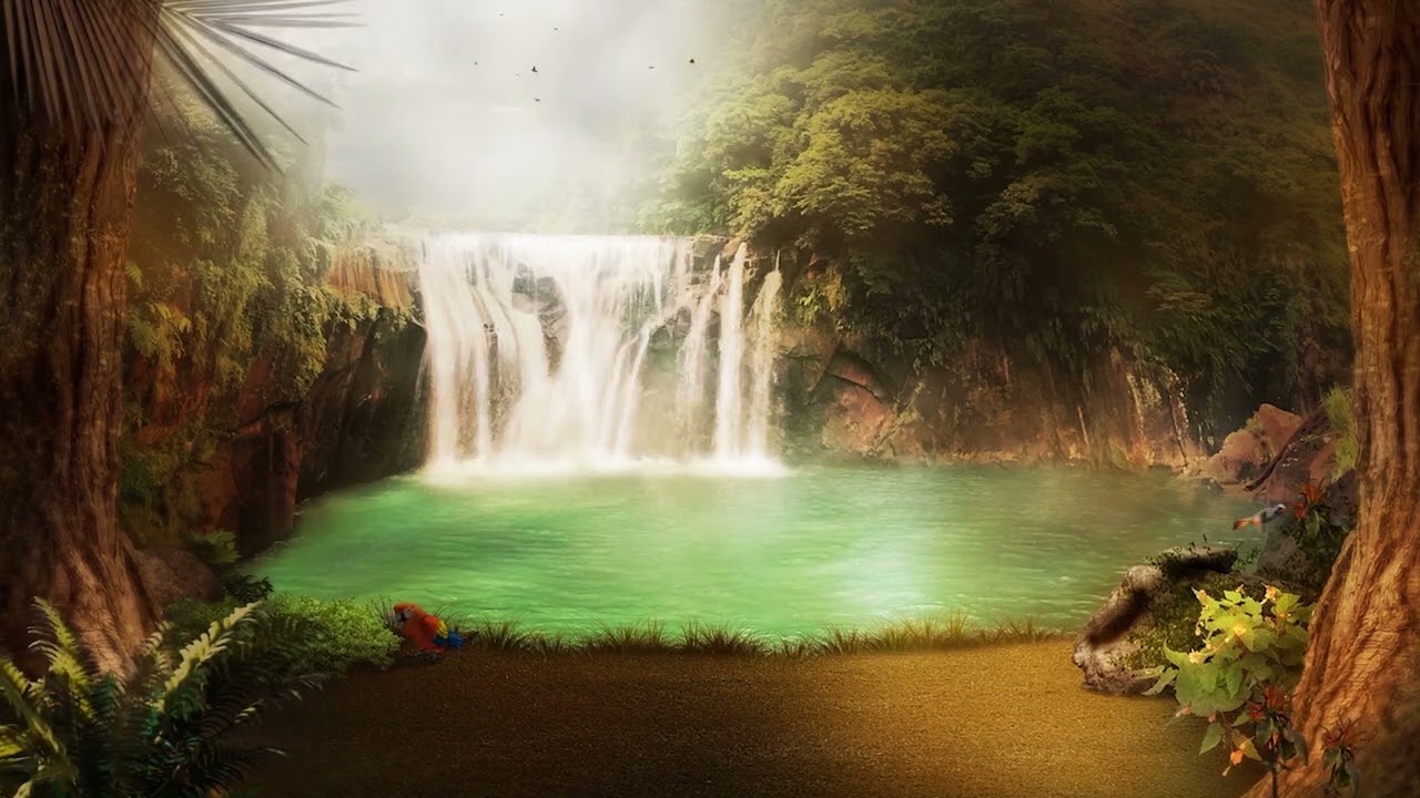 tropical forest ambience - birds & waterfall - Magical atmosphere