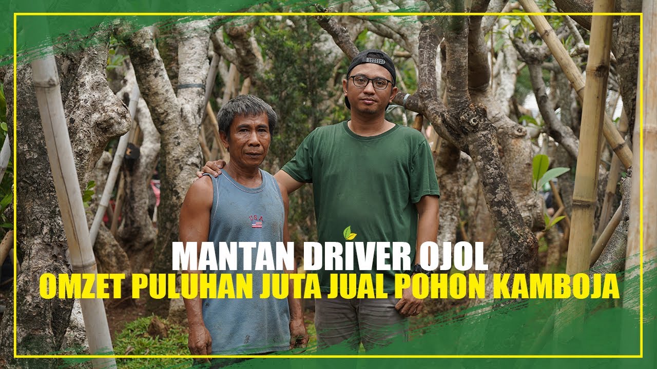 Mantan Driver Ojol Hasilkan Puluhan Juta Dari Jual Kamboja Fosil