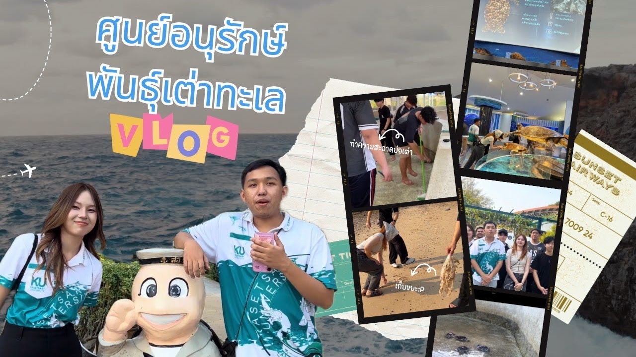Little Turtles to the Sea🐢🌊  | โครงการปล่อยเต่าน้อย