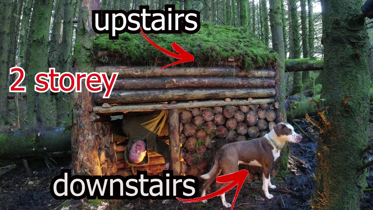 Building a 2 storey log hut in a forest with my dog Goji
