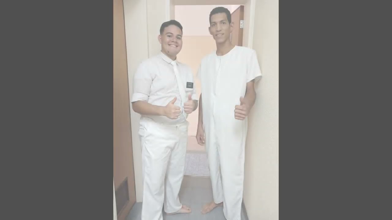 Puntos video