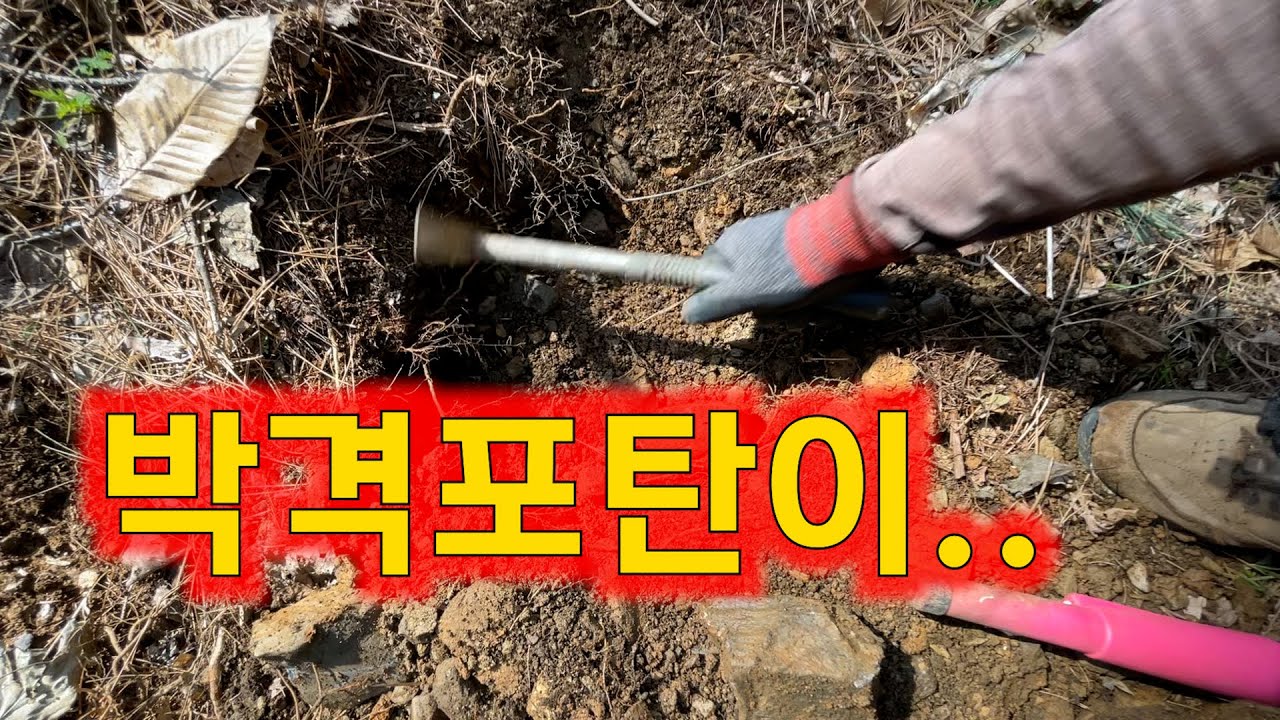 이 엽전밭에 포탄이 #metaldetecting #금속탐지