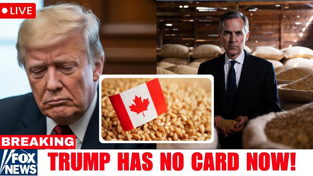JUST IN: Canada’s Quiet Grain Move Just Locked the U.S. Out of $780 Billion