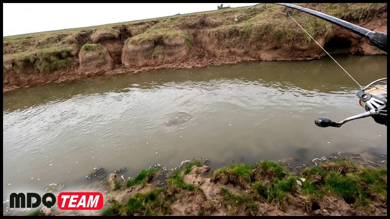 PESCA DE ARROYO - LA BESTIA DEL ARROYO