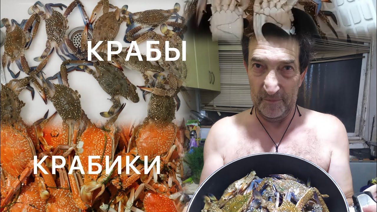 85.Израиль.Крабалка.Ашкелон.Декабрь 2023 год