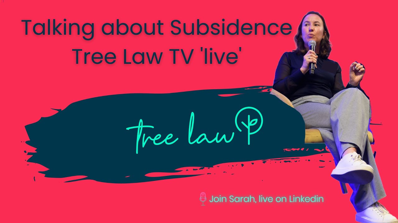 Talking about tree root subsidence