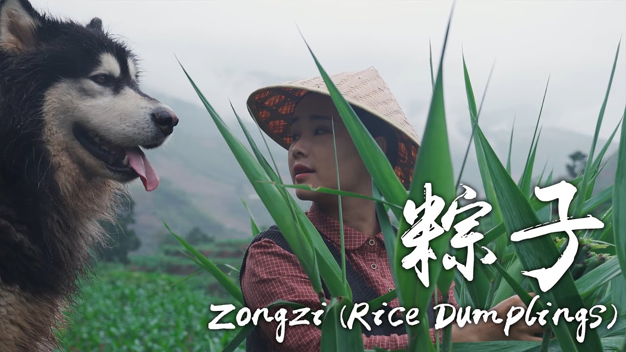 粽子，一张粽叶包裹百种风味，摘几片粽叶，把美味和祝福全都包进去！【滇西小哥】