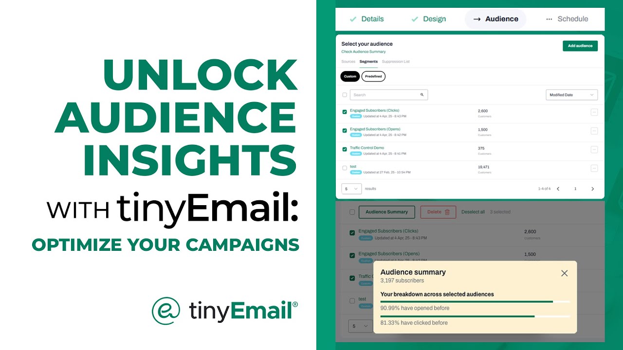 Unlock Audience Insights in tinyEmail: Optimize Your Campaigns