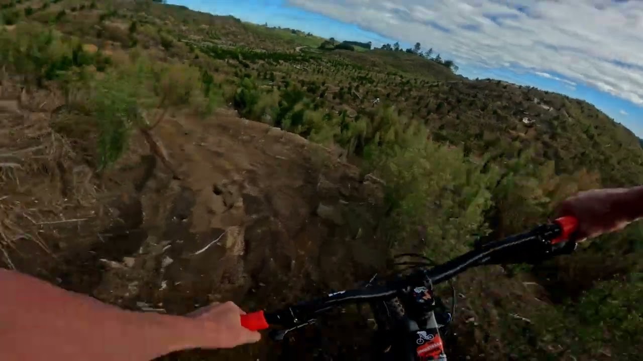 Master Blaster @ Cougar MTB Park. Tokoroa