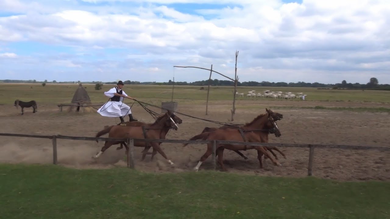 Bugac Puszta (paardenshow op de Hongaarse poesta)