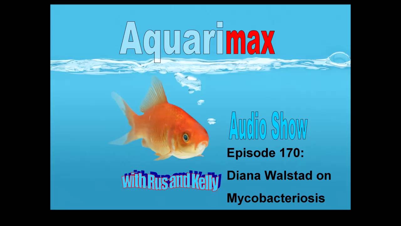 Interview with Diana Walstad: Mycobacterium