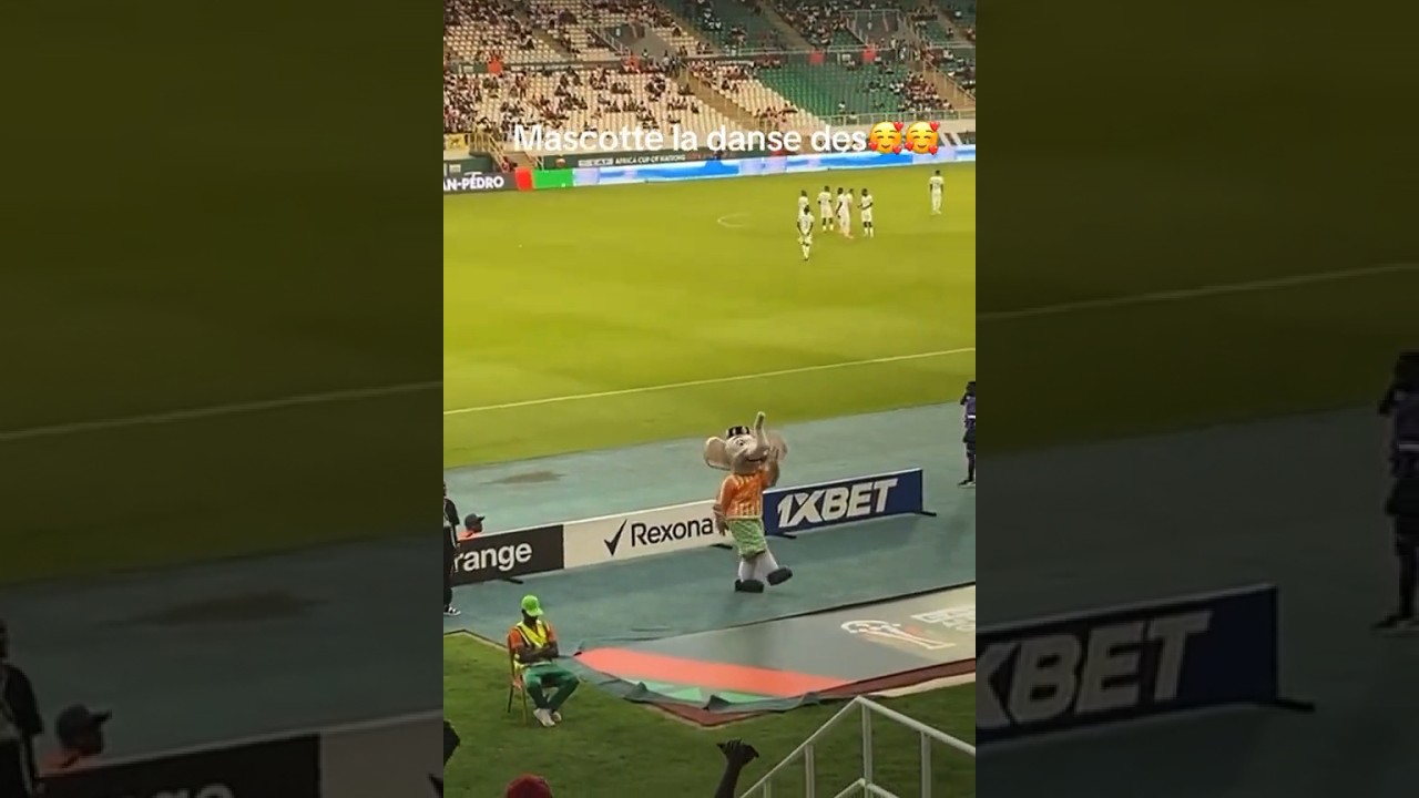 La Mascotte de la CAN 2023 danse le coup du marteau😂😂 #buzz #tiktok #can2024 #can