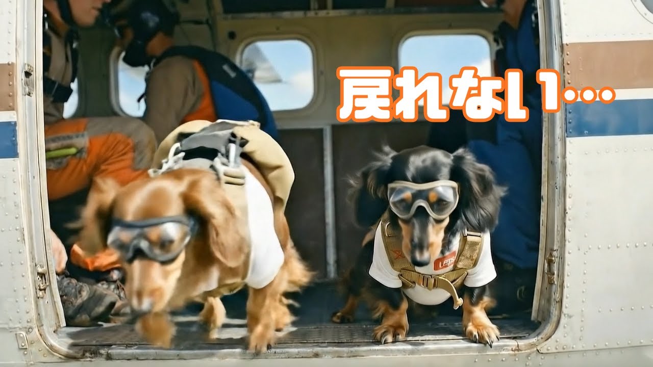 この旅で、いちばん忘れられない瞬間。ダックスのハワイ続編