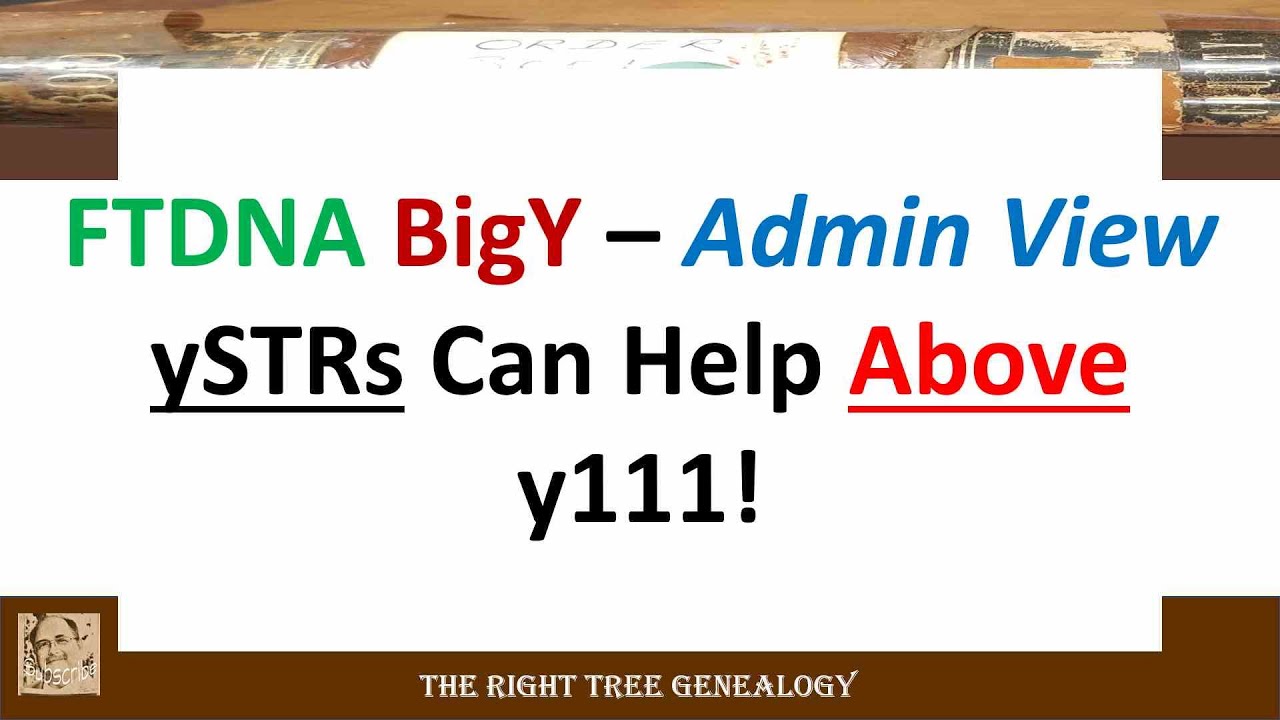 FTDNA BigY - Admin View - Project Level ySTRs Can Help Above y111!!