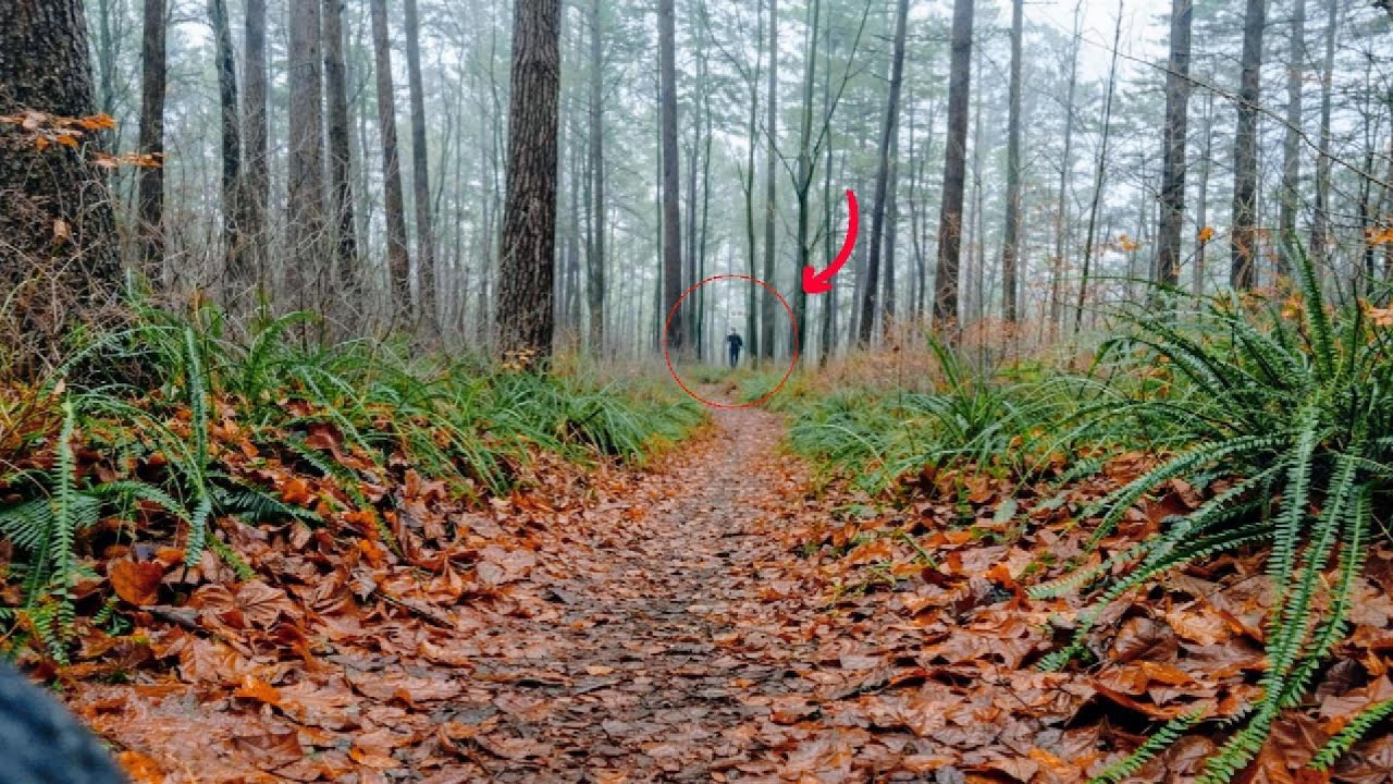 Warum du niemals allein in den Appalachian Mountains wandern solltest — Ein Balken Empfang
