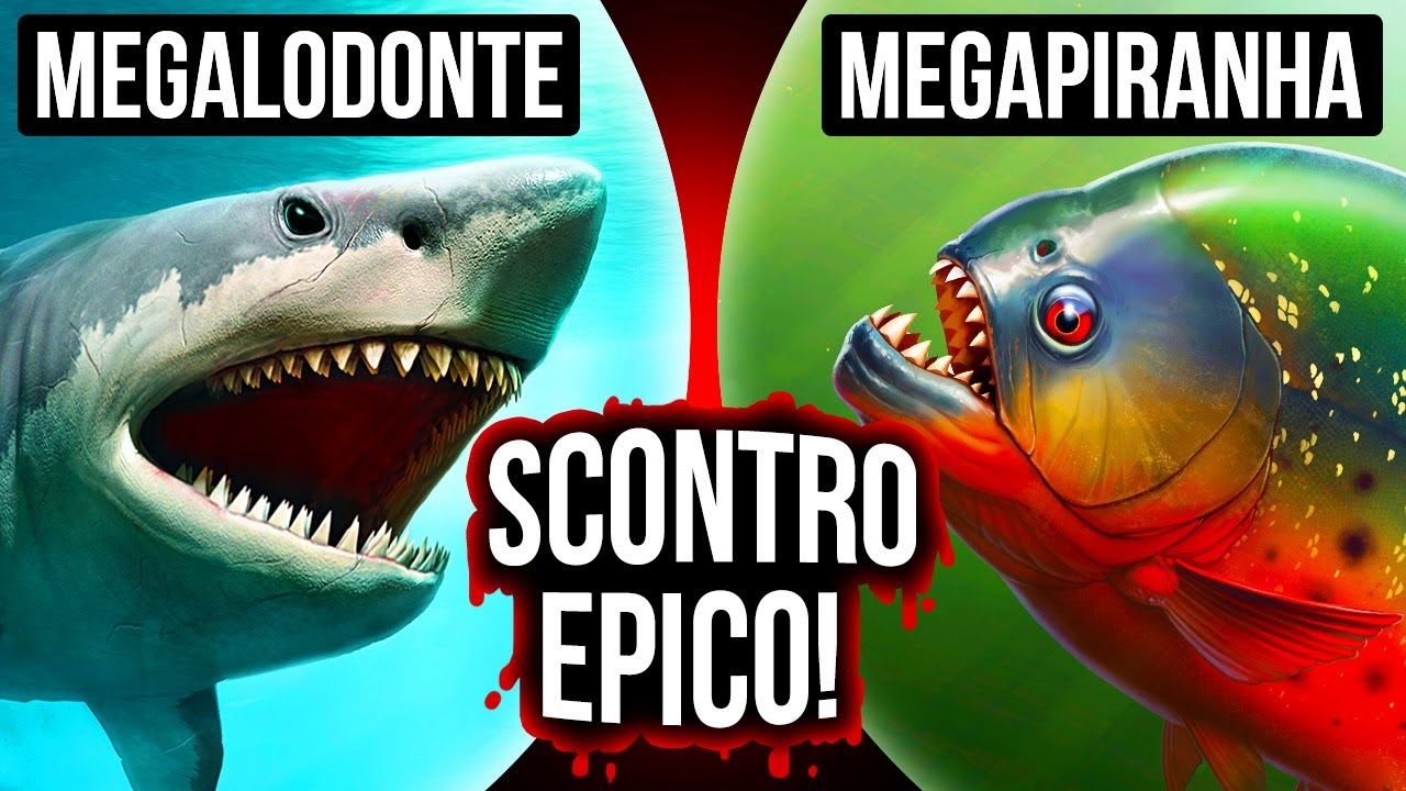Che Succederebbe Se Megalodonte e Megapiranha si Incontrassero