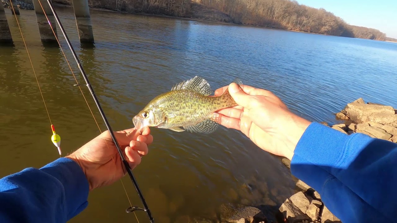 crappie fishing clinton lake 12-10-2020