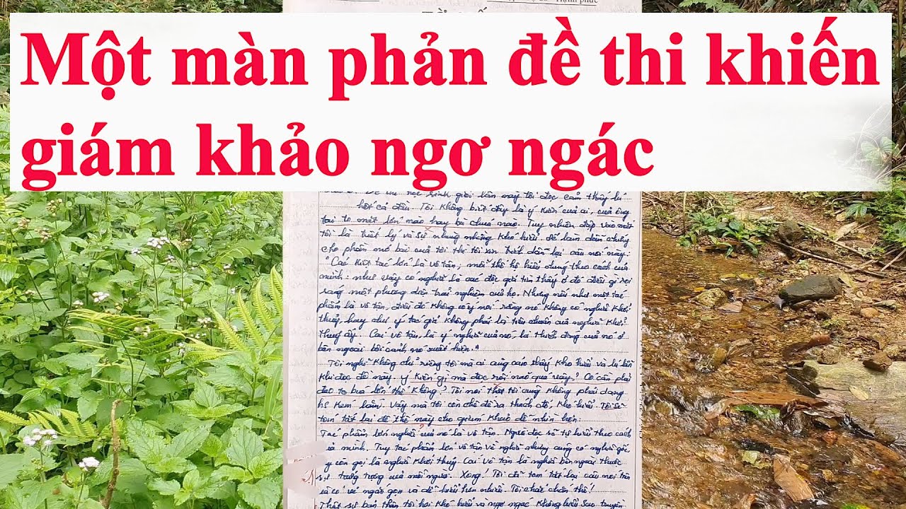 Bài văn đanh thép làm giám khảo ngơ ngơ như bò đội nón #233