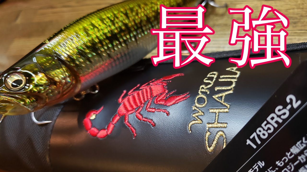 【ビッグベイトタックル】秋シーバス用に最強パワーのワールドシャウラ購入！1785RS-2