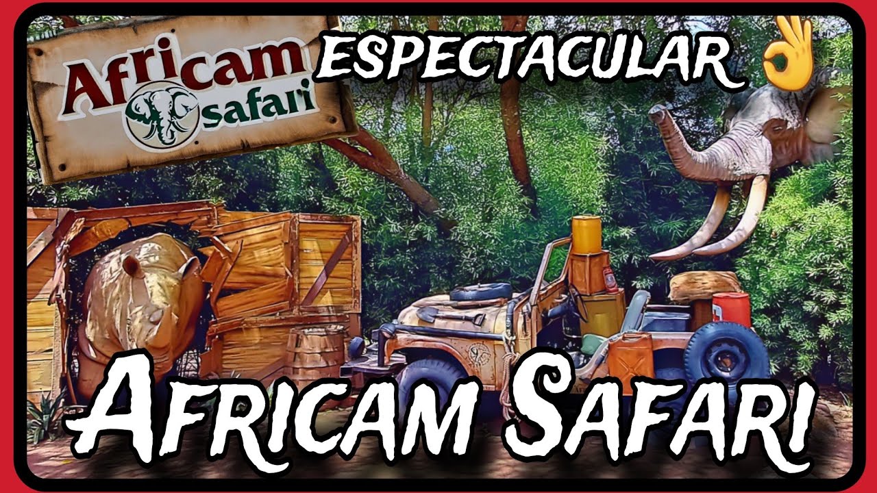 Un lugar imperdible de Puebla! Africam Safari!🐯🐅🐆🫎🦬