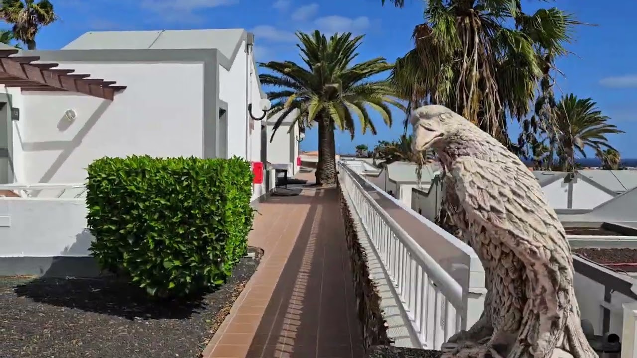 Caleta Dorada Hotel Fuerteventura 🏨