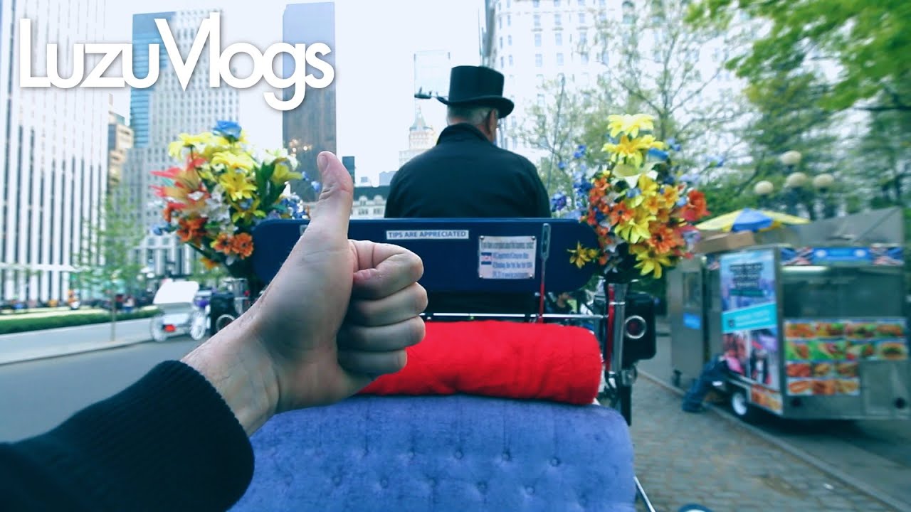 HACIENDO AMIGOS EN NEW YORK - LuzuVlogs
