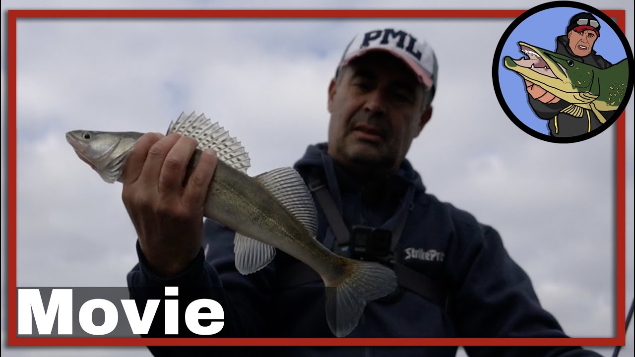 🎣 VISSEN OP BAARS EN SNOEKBAARS OP HET NOORDZEEKANAAL 🎥 vistechnieken roofvis | baars kunstaas #42
