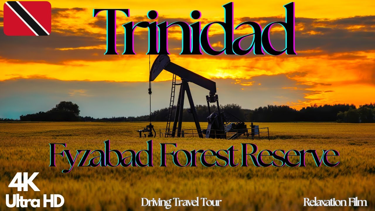 Fyzabad Forest Reserve | South Trinidad's Historic Oil Wells
