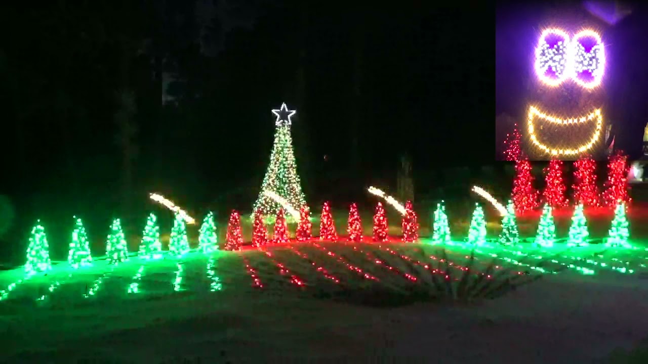 Mr  Heatmiser - Conifer Christmas Light Show (2020)
