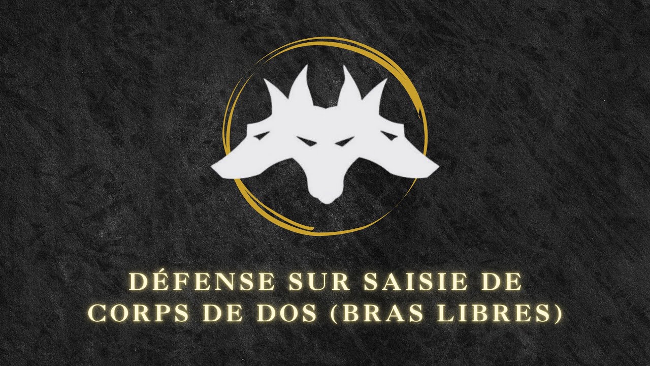 Défense sur saisie de dos (bras libres) | Cerberus Krav Maga Genève