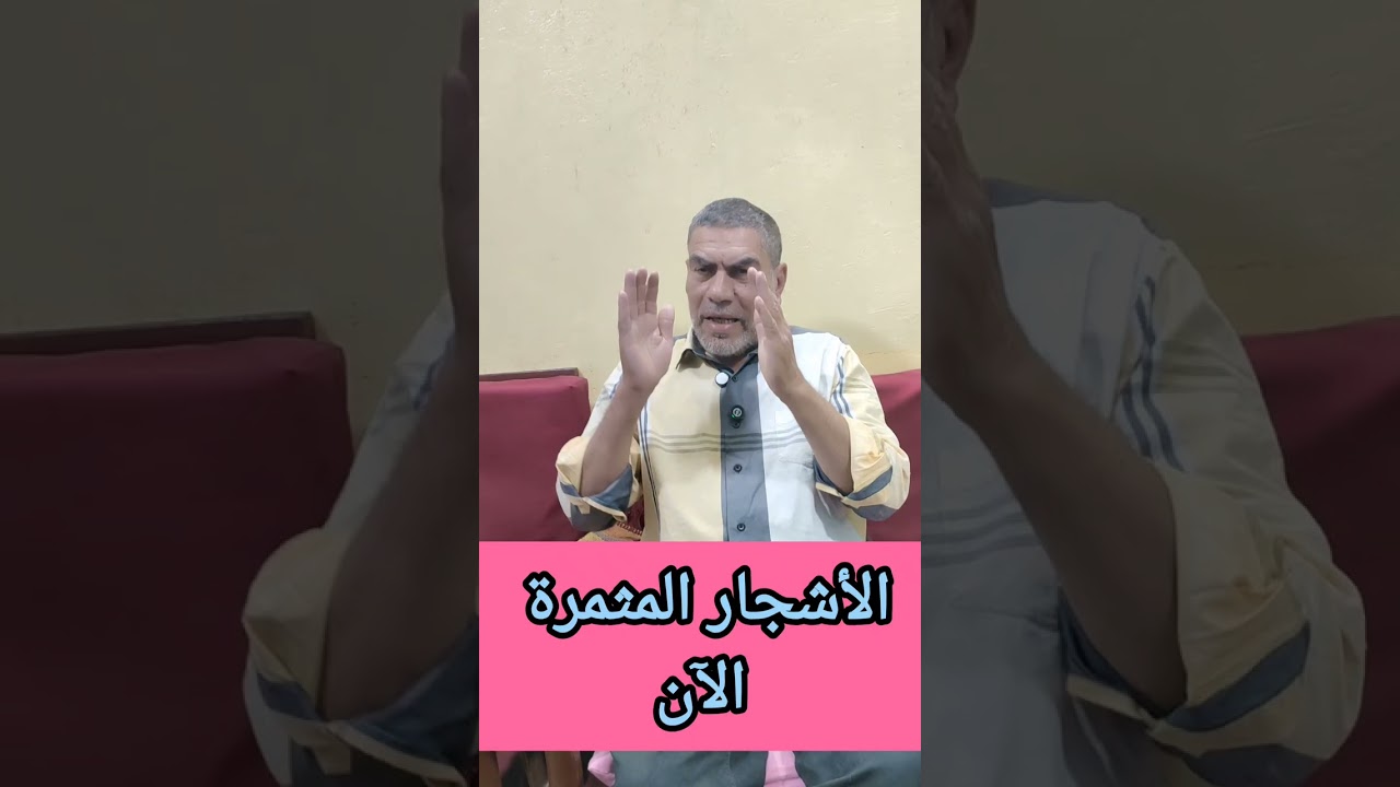 #الأشجار_المثمرة_الآن