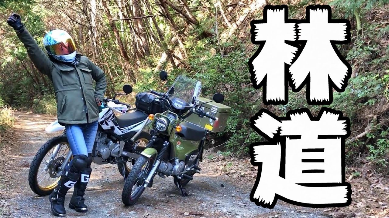 【セロー】初オフロードブーツで権現林道へ！岐阜県加茂郡八百津町