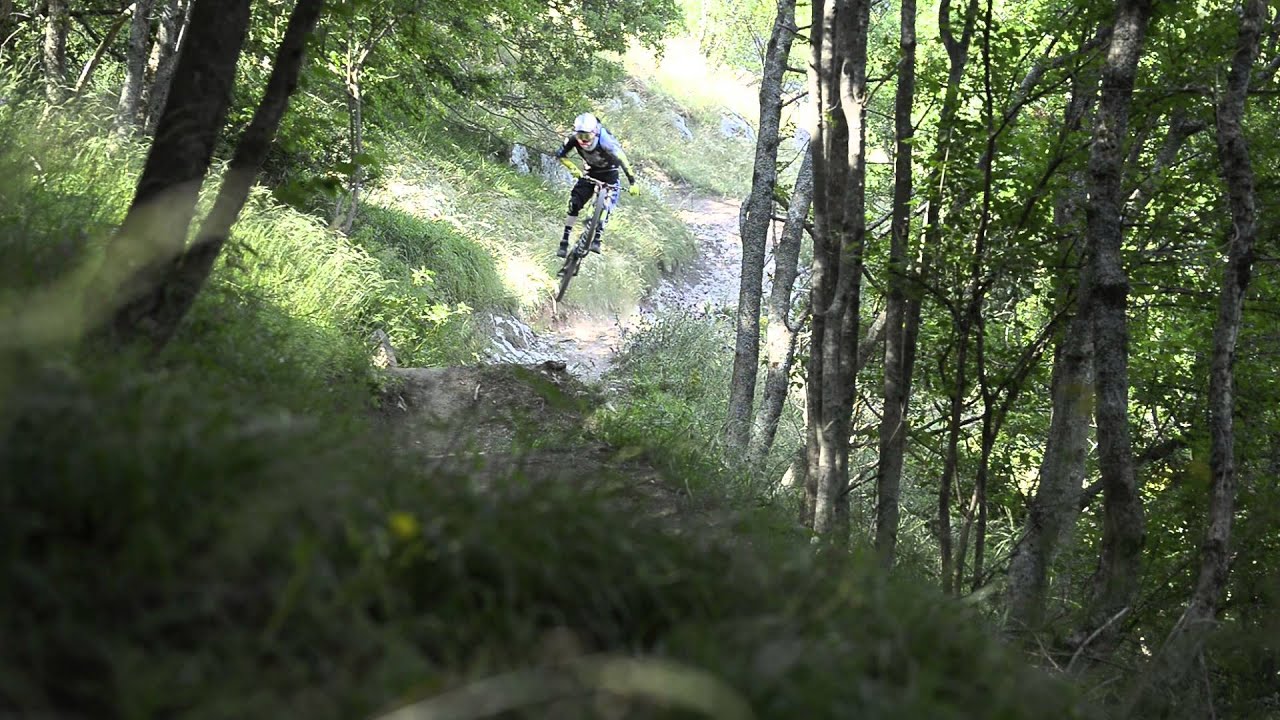 Rogue Racing DH Team 2015