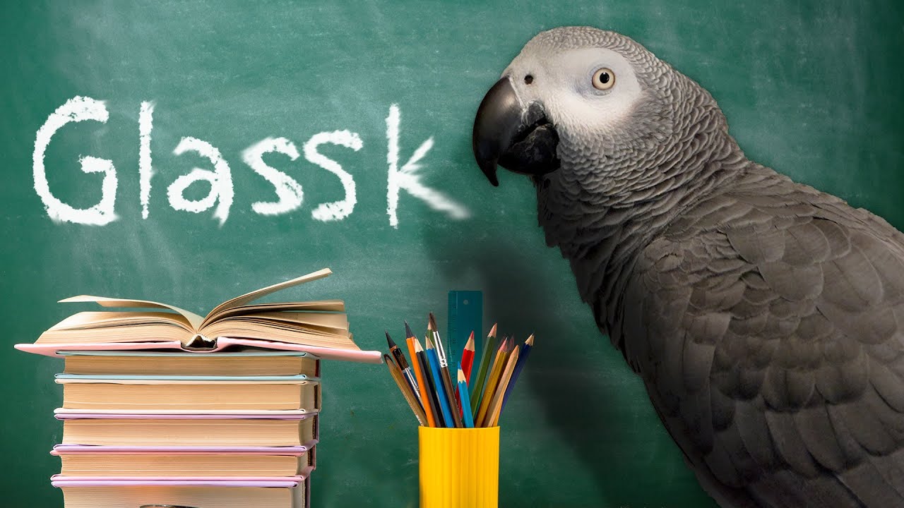 Истоки GLASSK