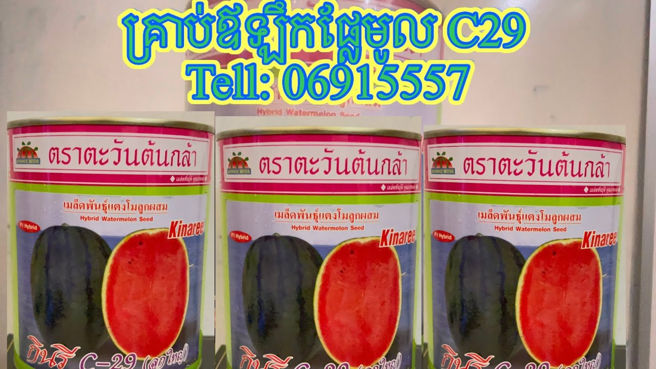 មានលក់គ្រាប់ពូជឪឡឹកក្រហម និង លឿង 069915557