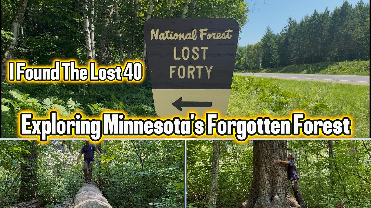 I Found The Lost 40 - Exploring Minnesota's Forgotten Forest