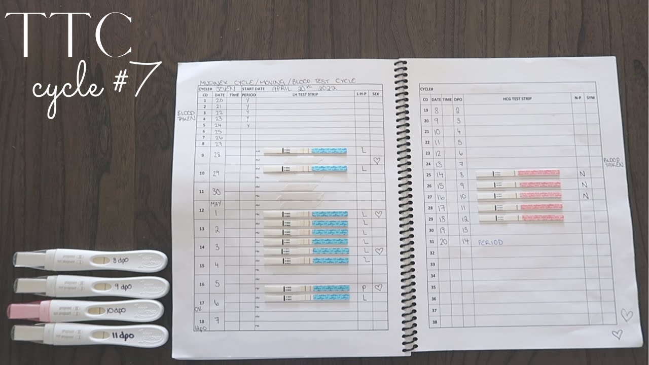 TTC BABY#2 - CYCLE #7 (ovulation + pregnancy tests)