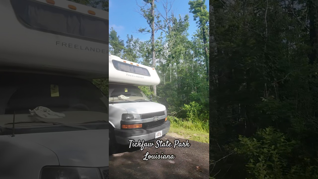 The peaceful sounds of a Louisiana wetland forest. 