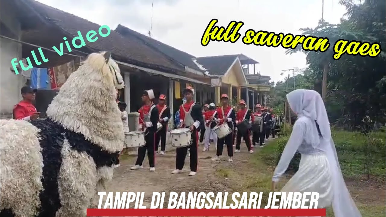 Kirab dumband full saweran, sorakan bersama drumbandd Miftahul ulum maesan