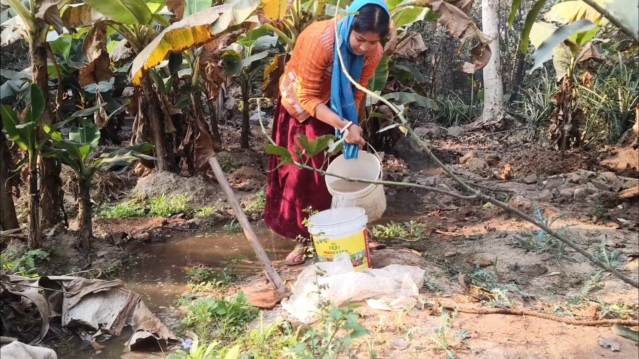 বাগানের কাজকর্ম