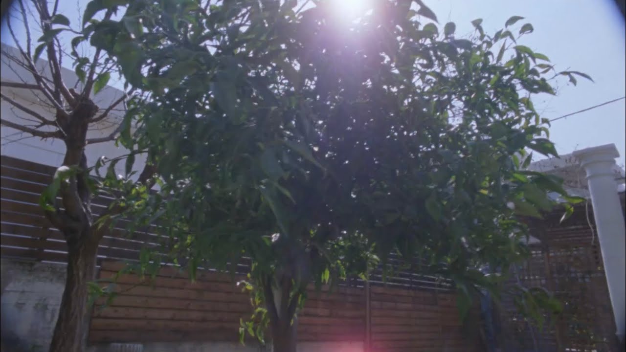 Arriflex SR2 test footage