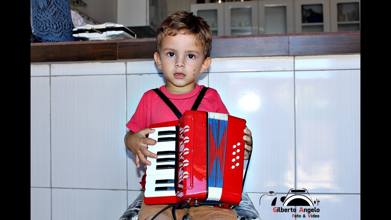 Criança de 3 anos herda do avô o dom musical e encanta tocando sanfona, em Conceição