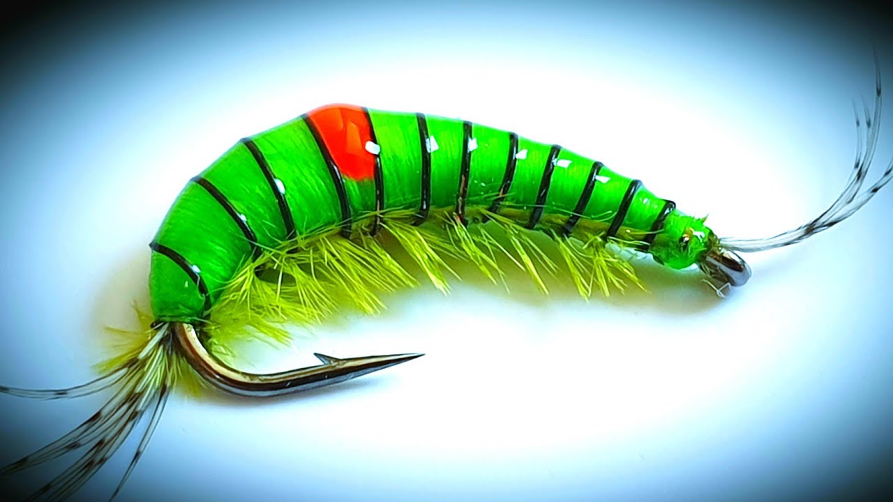 Fly Tying a Green Gammarus