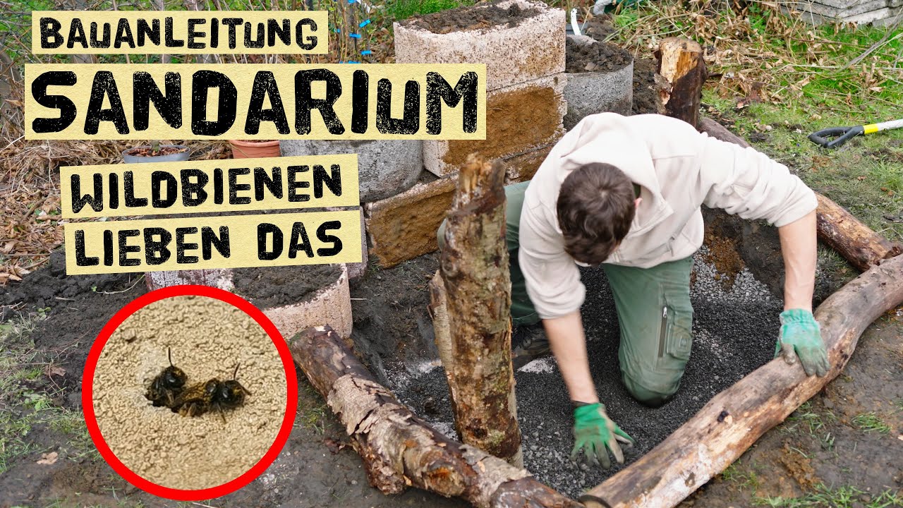 Lebensraum für Wildbienen in jedem Garten schaffen - Bauanleitung Sandarium