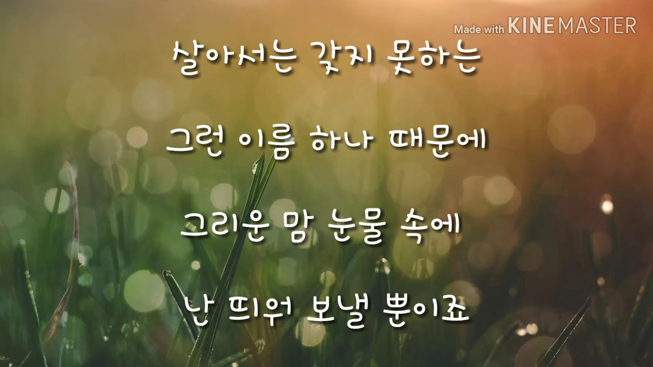 장윤정 - 초혼 가사