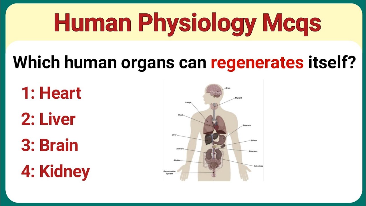 Human anatomy mcq || human physiology Mcqs | biology mcq for all competitive exam