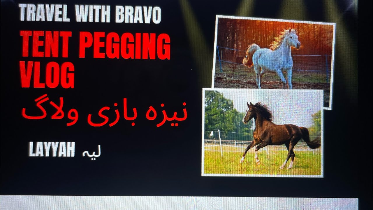 Tent pegging vlog نیزہ بازی پر شاندار ولاگ