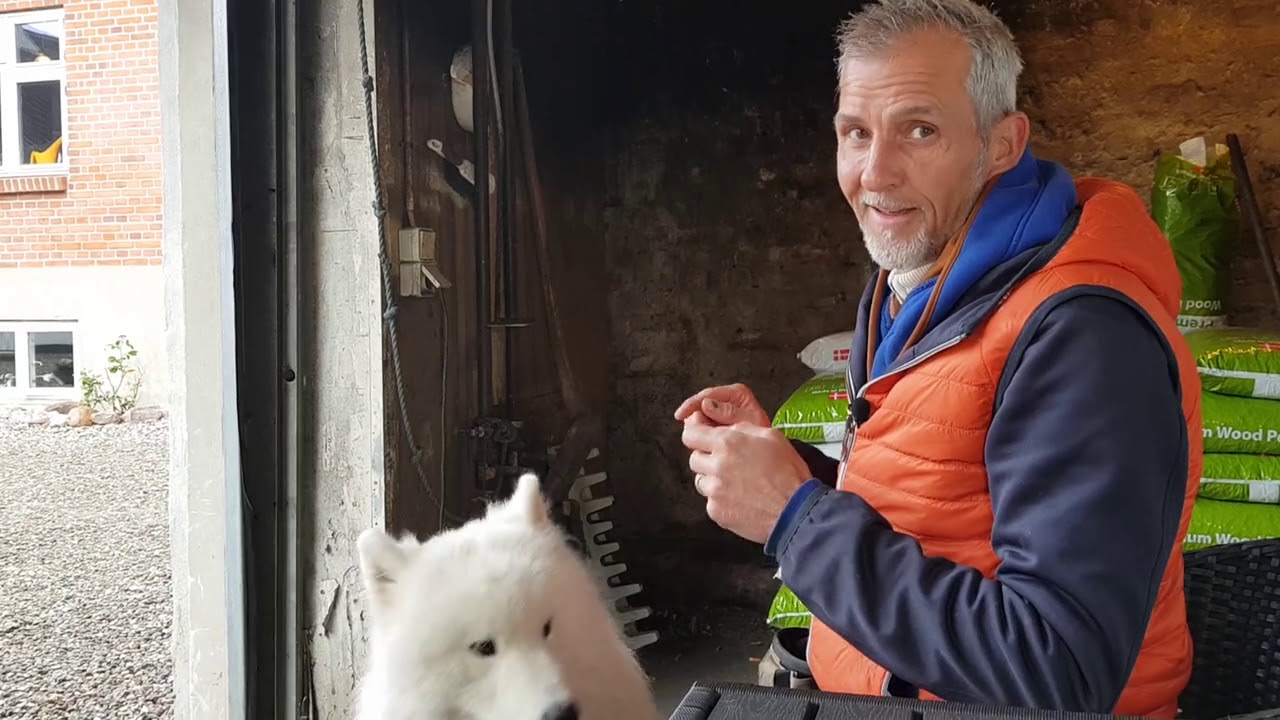 SÅDAN STARTER DU KONTAKT MED HUNDEN
